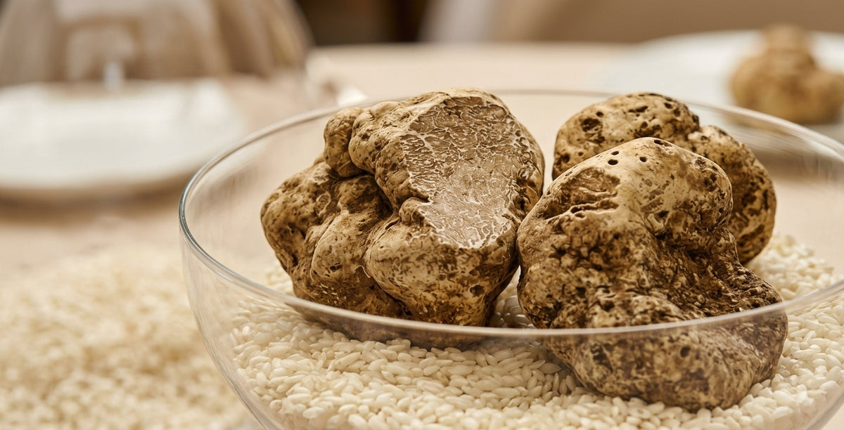 Hands holding a white and a black truffle at a kitchen sink