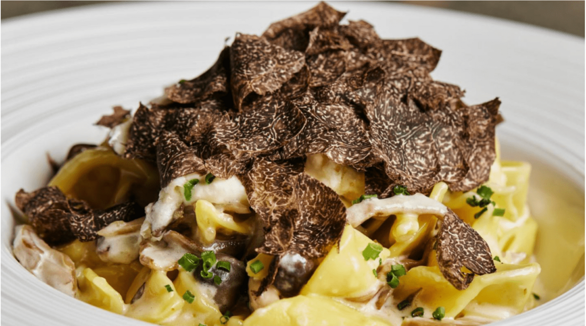 Spaghetti under julienned black truffle