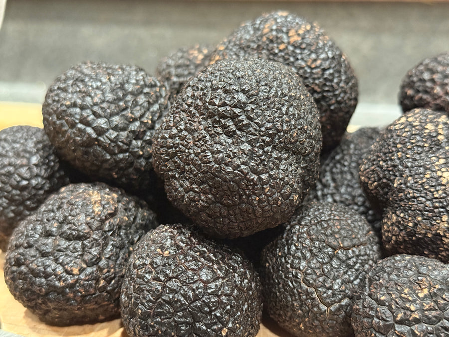 A tray of fresh black truffles