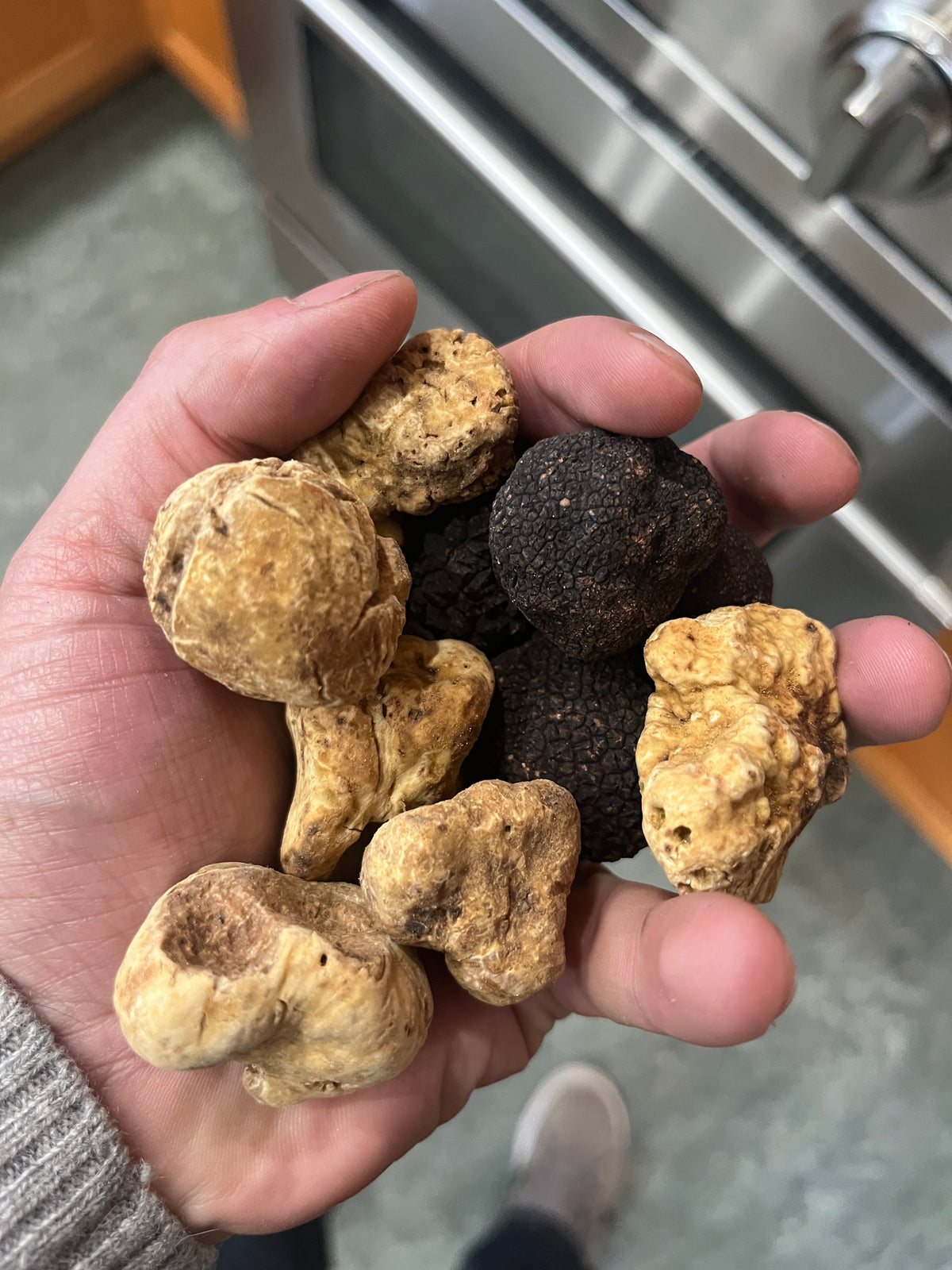 Alba White truffle, this week's box